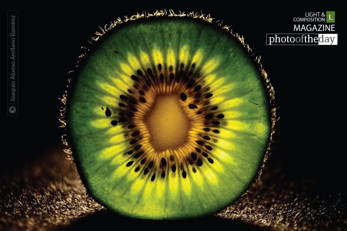 Kiwi, by Joaquín Alonso Arellano Ramírez Kiwi, by Joaquín Alonso Arellano Ramírez