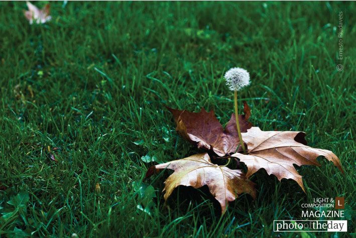 Bruixa by Riudavets Ernesto Vidal - Photo of the Day, Photojournalism, Still Life Photography, Riudavets Ernesto Vidal, Art Photography