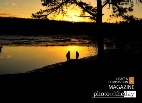 Pure Gold, by Sunando Roy - Sunset Photography, Landscape Photography, Photography Awards, Photo of the Day, Light & Composition University