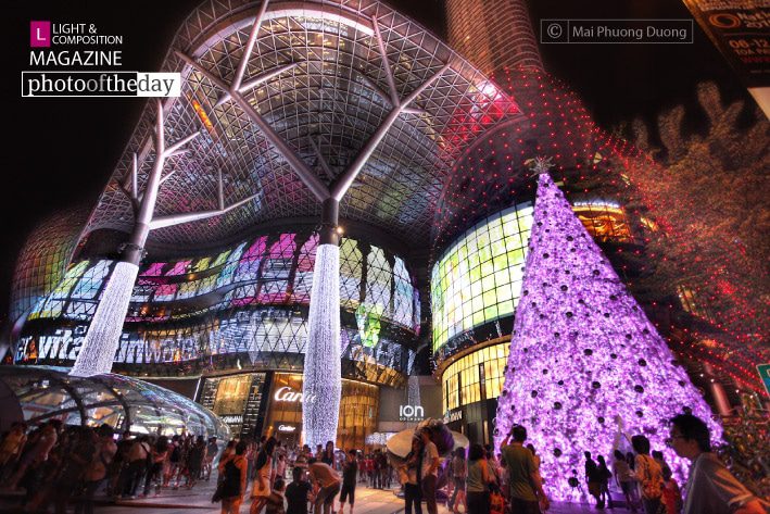 The Christmas Project, by Mai Phuong Duong The Christmas Project, by Mai Phuong Duong