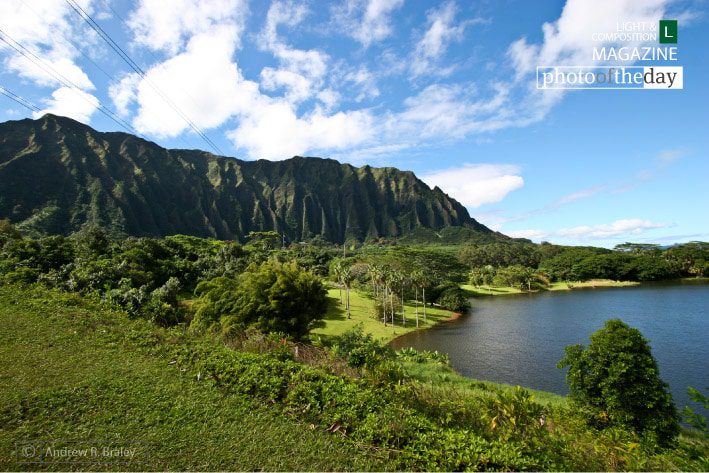 Landscape Photography, Photography Awards, Photo of the Day, Art Photography, Photography Education - Perfection by Andrew R. Braley Perfection by Andrew R. Braley - Landscape Photography, Photography Awards, Photo of the Day, Art Photography, Photography Education