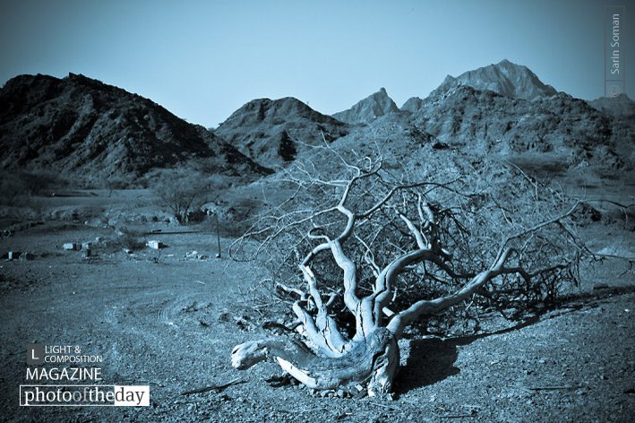 The End by Sarin Soman - Photojournalism, Documentary Photography, Art Photography, Photography Awards, Sarin Soman