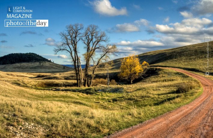 Circles, by Teresa Boardman