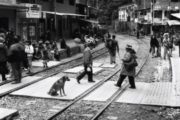 One Day in Aguas Calientes, by Yasuteru Kasano - Street Photography, Photo of the Day, Aguas Calientes, Photojournalism, Photography Awards
