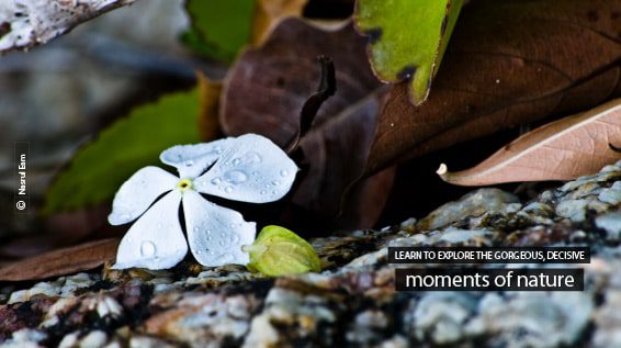 Hello Explorer - Nature Photography, Photography Books, Landscape Photography, Wildlife Photography, Light & Composition