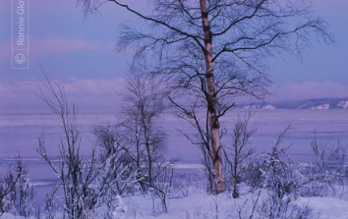 Lone Tree at Winter Sunset, by Ronnie Glover - Nature Photography, Photography Awards, Photo of the Day, Landscape Photography, Fine Art Photography