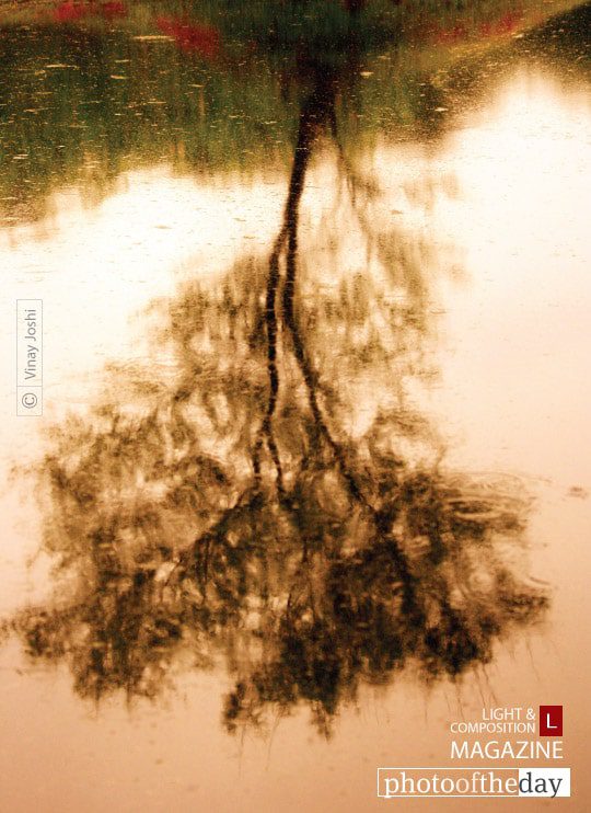 Sorrow..., by Vinay Joshi Sorrow..., by Vinay Joshi