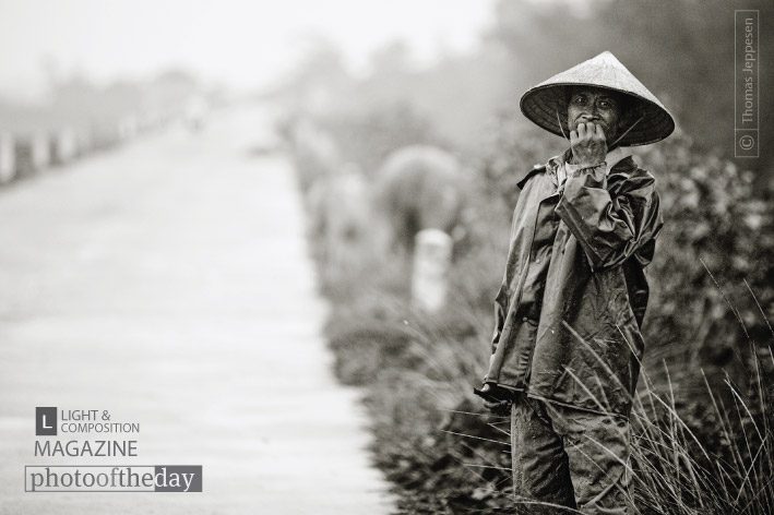 Walking the Cow, by Thomas Jeppesen Walking the Cow, by Thomas Jeppesen - Photojournalism, Portrait Photography, Black and White Photography, Documentary Photography, Photography Awards