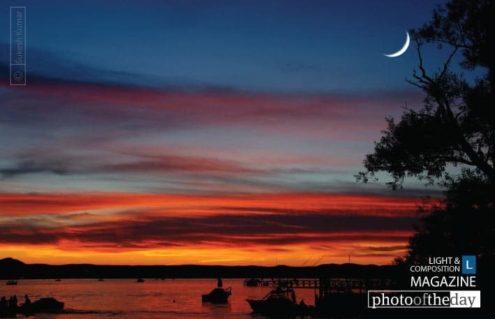 Transition, by Sukesh Kumar - Artistic Photography, Photo of the Day, Photography Awards, Online Photography Courses, Light & Composition University