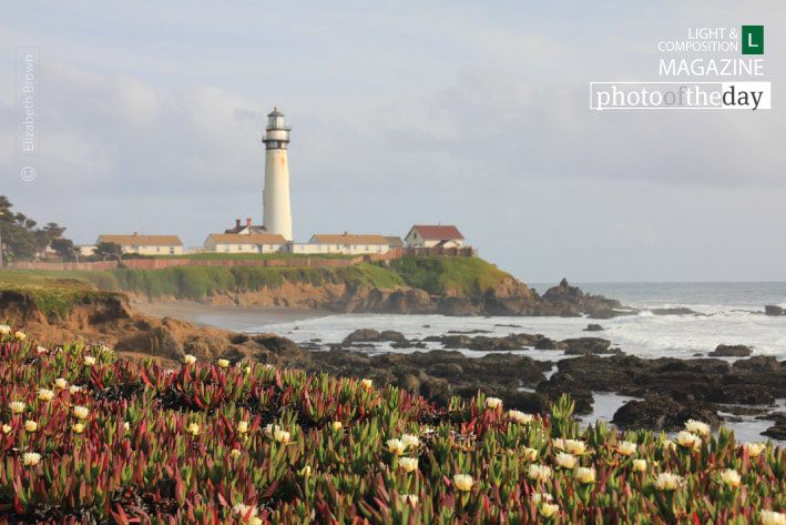 Pigeon Point Light Station, by Elizabeth Brown Pigeon Point Light Station, by Elizabeth Brown