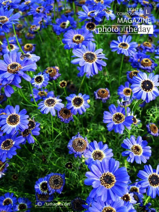 Valley of Haven, by Tathagata Das - Nature Photography, Landscape Photography, Photography Awards, Photo of the Day, Light & Composition University