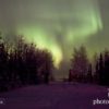 Aurora Borealis, Night Photography, Astrophotography, Landscape Photography, Photo of the Day – Aurora Borealis, by Ryan Marquis Aurora Borealis, by Ryan Marquis - Aurora Borealis, Night Photography, Astrophotography, Landscape Photography, Photo of the Day
