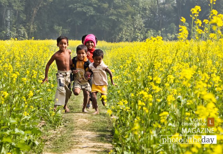 Make a Run by Shahnaz Parvin - Photojournalism, Documentary Photography, Color Photography, Shahnaz Parvin, Photo of the Day