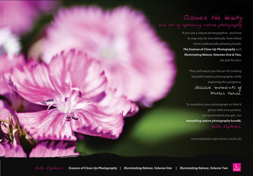 Discover the beauty and art of capturing nature photography Discover the beauty and art of capturing nature photography - Nature Photography, Photography Techniques, Photography Books, Close-up Photography, Nature Photography Tutorials