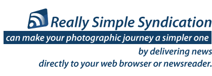 RSS Feeds Photographic RSS