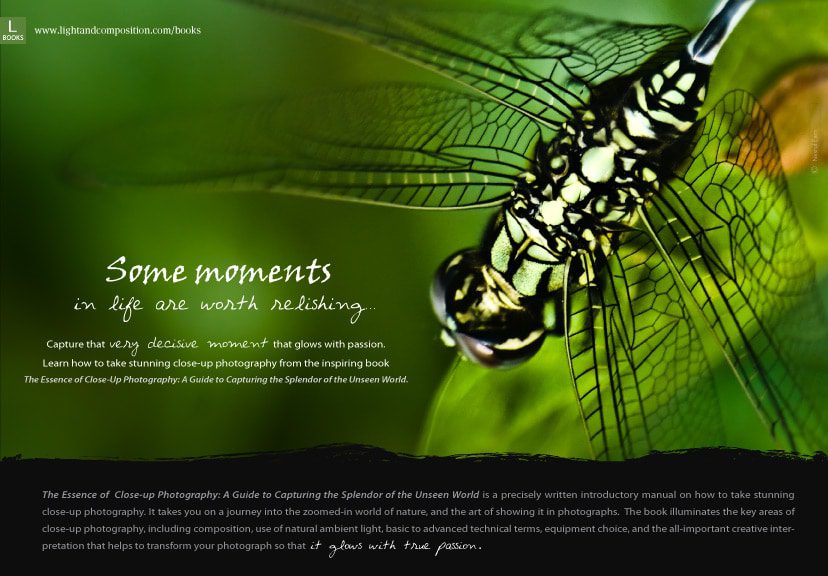 Some moments in life are worth relishing… Some moments in life are worth relishing… - Close-up Photography, Nature Photography, Photography Techniques, Composition, Lighting