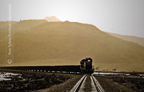 El Tren by Ana Sylvia Encinas - Art Photography, Photo of the Day, Still Life Photography, Photography Awards, Online Photography Courses