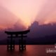 In love with Miyajima, by Ali Berrada - Travel Photography, Photojournalism, Photography Awards, Photo of the Day, Ali Berrada