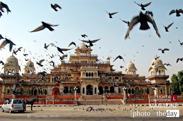 Enjoyment of Freedom, by Saumalya Ghosh - Motion Photography, Photo of the Day, Award Winning Photography, Nature Photography, Photography Awards