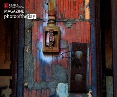 Panel, by Chris Horner - Still Life Photography, Photo of the Day, Photography Awards, Fine Art Photography, Chris Horner