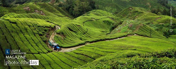 Curvy Tea, by Greg Goodman Curvy Tea, by Greg Goodman - Travel Photography, Photography Award, Photo of the Day,  Award Winning Photography, Greg Goodman