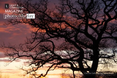 Sunset from My Window, by ClÃ¡udia Vieira - Sunset Photography, Photography Awards, Photo of the Day, Art Photography, Online Photography Courses