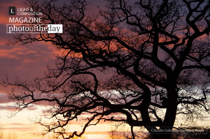 Sunset from My Window, by ClÃ¡udia Vieira - Sunset Photography, Photography Awards, Photo of the Day, Art Photography, Online Photography Courses