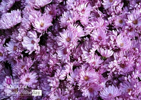 Heaven's Bed, by Tathagata Das - Photojournalism, Photography Awards, Color Photography, Photo of the Day, Art Photography