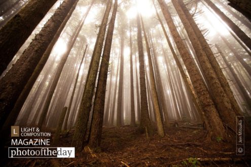 Where Dreamers Escape, by Jen Mitsuko - Nature Photography, Award Winning Photography, Photo of the Day, Photography Awards, Landscape Photography