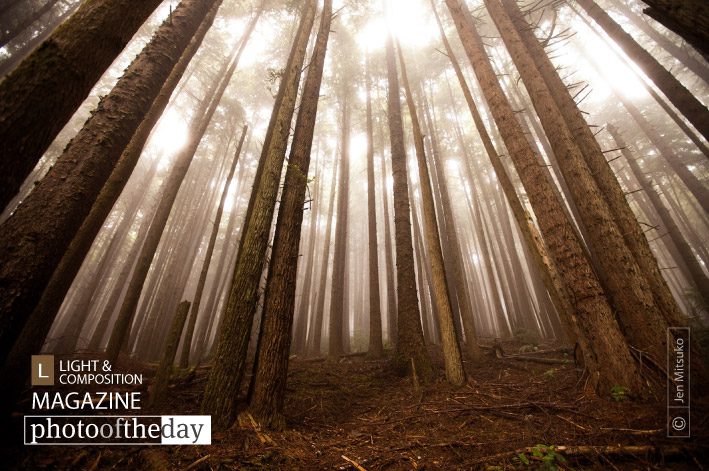 Where Dreamers Escape, by Jen Mitsuko Where Dreamers Escape, by Jen Mitsuko - Nature Photography, Award Winning Photography, Photo of the Day, Photography Awards, Landscape Photography