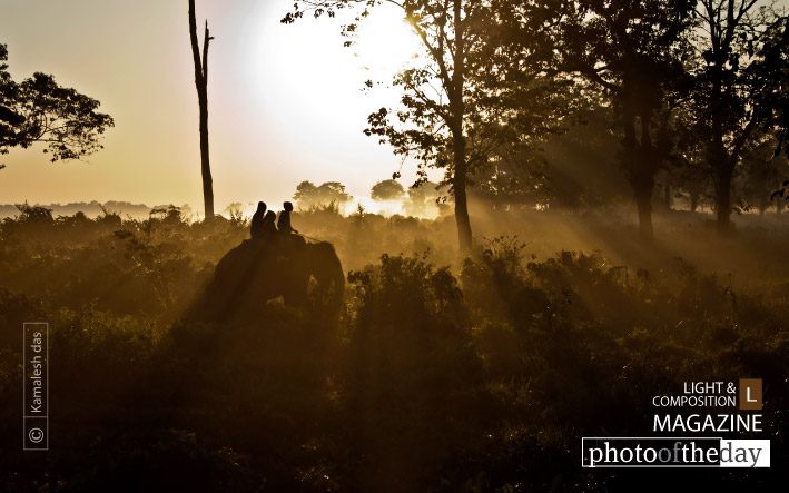 Elephant Safari, by Kamalesh Das Elephant Safari, by Kamalesh Das - Travel Photography, Award Winning Photography, Elephant Safari, Wildlife Photography, Photo of the Day
