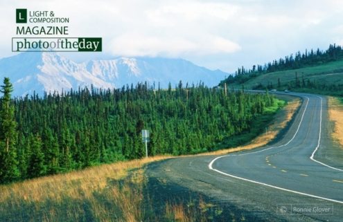 Rush Hour in Rural Alaska by Ronnie Glover - Landscape Photography, Nature Photography, Alaska Photography, Photo of the Day, Award Winning Photography