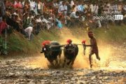 Kambala, Motion Photography, Photojournalism, Award-Winning Photography,  Photography Awards – Kambala, a Village Sports, by Achintya Guchhait Kambala, a Village Sports, by Achintya Guchhait - Kambala, Motion Photography, Photojournalism, Award-Winning Photography,  Photography Awards