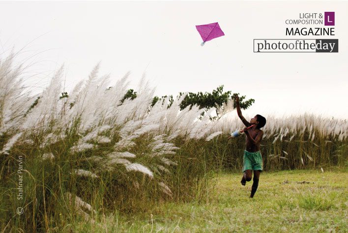 The Kite Runner, by Shahnaz Parvin The Kite Runner, by Shahnaz Parvin - Photojournalism, Documentary Photography, Travel Photography, Photo of the Day, Shahnaz Parvin