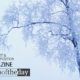 Winter Day, by Ronnie Glover - Nature Photography, Photojournalism, Photography Awards, Online Photography Courses, Art Photography