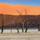 Deadvlei, by Rainer Mirau Deadvlei, by Rainer Mirau - Landscape Photography, Deadvlei, Namibia, Nature Photography, Photo of the Day