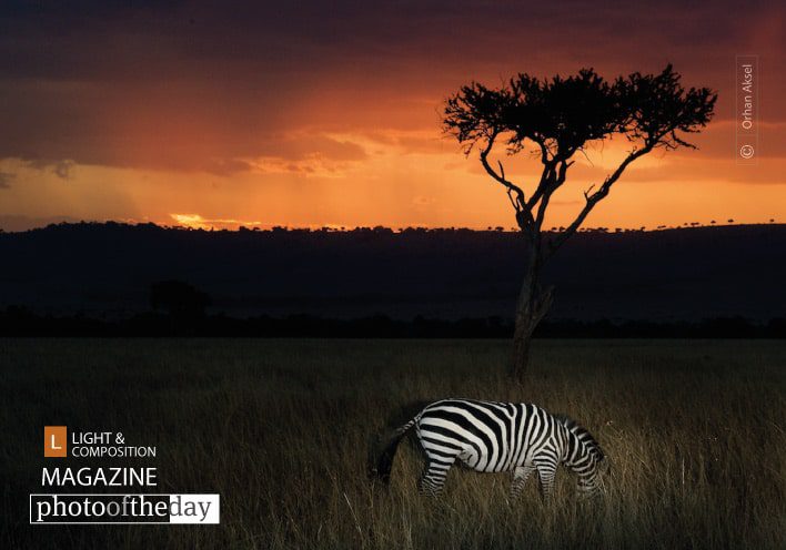 Sunset in Maasai Land, by Orhan Aksel Sunset in Maasai Land, by Orhan Aksel - Wildlife Photography, Photojournalism, Sunset Photography, Maasai Mara, Award Winning Photography