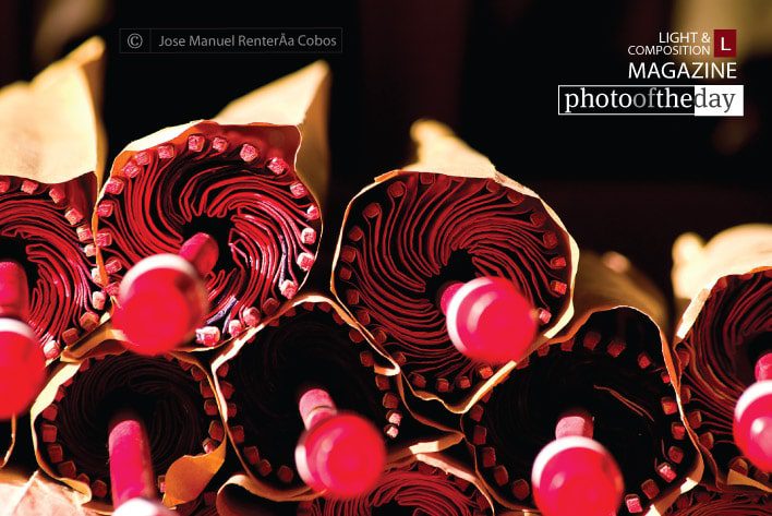 Wagasa by Jose Manuel Renteria Cobos Wagasa by Jose Manuel Renteria Cobos - Wagasa Photography, Photo of the Day, Award Winning Photography, Japanese Umbrella, Color Photography