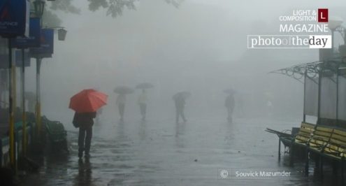 The Veiled Queen, by Souvick Mazumder - Street Photography, Photojournalism, Photography Awards, Photo of the Day, Award Winning Photography