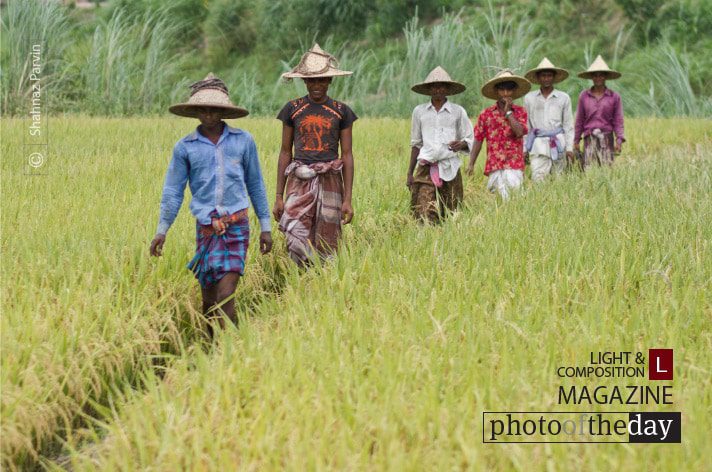 On a Collecting Day, by Shahnaz Parvin - Documentary Photography, Photojournalism, Photography Awards, Award Winning Photography,  Photo of the Day