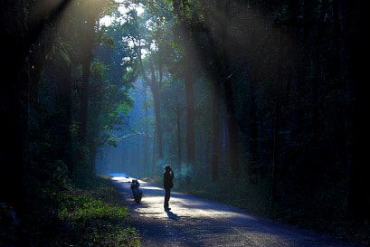 Waiting for the Ride by Biplab Majumder Waiting for the Ride by Biplab Majumder - Minimalist Photography, Photo of the Day, Photography Awards, Art Photography, Online Photography Courses