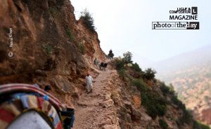 The Path, by Faisal Khan The Path, by Faisal Khan - Travel Photography, Photo of the Day, Award Winning Photography, Photojournalism, Faisal Khan