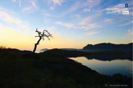 Loneliness - Loneliness, Art Photography, Photography, Emotion in Photography, Conceptual Photography