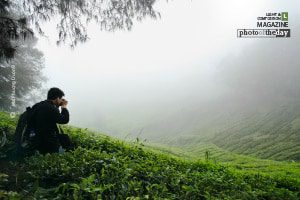 The Hunter, by Mai Phuong Duong The Hunter, by Mai Phuong Duong - Travel Photography, Award Winning Photography, Photo of the Day, Art Photography, Online Photography Courses