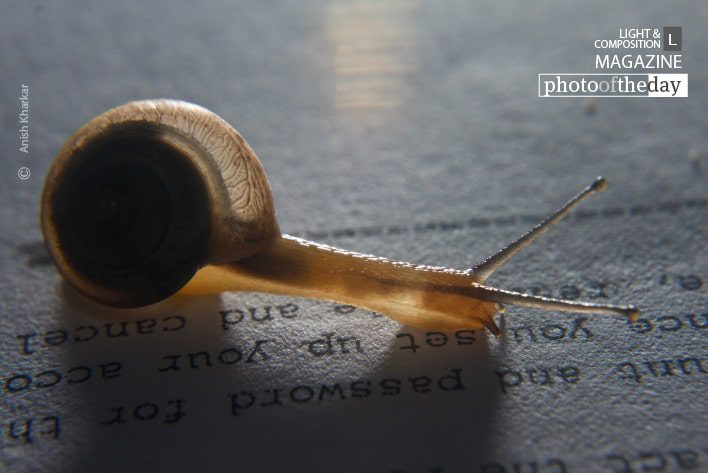 The Slow Reader, by Anish Kharkar The Slow Reader, by Anish Kharkar - Conceptual Photography, Photo of the Day, Photography Award, Anish Kharkar, Award Winning Photography