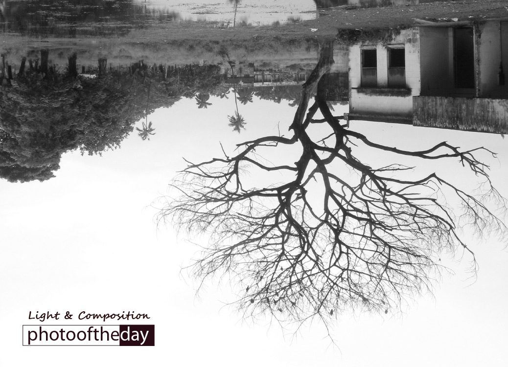 A Dead Reflection, by Liton Chowdhury - Conceptual Photography, Photo of the Day, Reflection Photography, Art Photography, Photography Awards