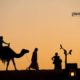 Sunset Camel Ride by Rabih Madi Sunset Camel Ride by Rabih Madi - Sunset Photography, Award Winning Photography, Camel Photography, Photojournalism, Photography Education
