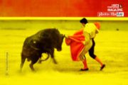 Bullfight, by Mercedes Noriega - Photojournalism, Bullfight, Photography Awards, Motion Photography, Documentary Photography