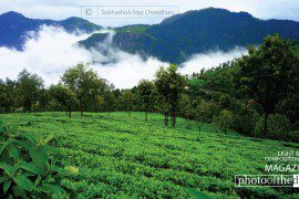 Land of Blue Mountains - Art Photography, Landscape Photography, Photography Inspiration, Nilgiri Photography, Photo of the Day