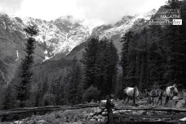 Horses of Kutla, by Shikchit Khanal Horses of Kutla, by Shikchit Khanal - Photojournalism, Black and White Photography, Award Winning Photography, Photo of the Day, Shikchit Khanal